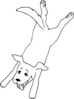 cachorro pulando feliz. esboço preto e branco. ícone simples de linha preta. ilustração vetorial desenhada à mão vetor