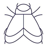 bug com asas animal no estilo de ícone de linha de desenho animado vetor