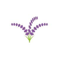 ilustração de ícone de vetor de flor de lavanda