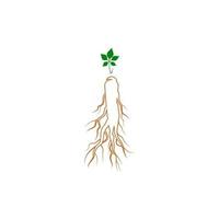 ilustração de ícone de vetor de ginseng