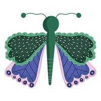 lindo animal de inseto borboleta, asas decorativas em fundo branco vetor