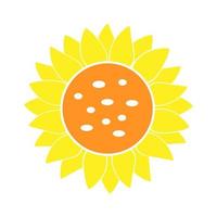 ilustração vetorial de girassol. flor de verão cor amarela vetor