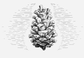 Ilustração de cone de pinho livre do vetor