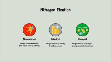 método de fixação de nitrogênio por métodos industriais, químicos, biológicos. Tamanho 4k para vídeo ou apresentação vetor