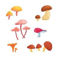 um grande conjunto de ilustrações vetoriais com cogumelos em estilo cartoon. cogumelo porcini, chanterelles, syroezhka, cogumelo pimenta, leitelho vetor