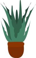 aloe vera, ilustração, vetor em fundo branco.