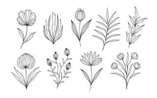 conjunto de elementos de flores botânicas desenhadas à mão. ilustração vetorial isolada no fundo branco vetor
