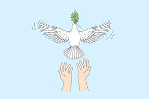 liberdade e liberando o conceito de boas notícias. mãos humanas deixando pombo branco com folha verde no bico passar por cima da ilustração vetorial de fundo do céu azul vetor