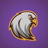 logotipo da mascote falcão - logotipo esports - ilustração vetorial vetor