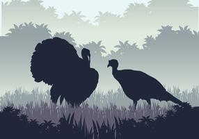 Wild Turkey época de caça vetor