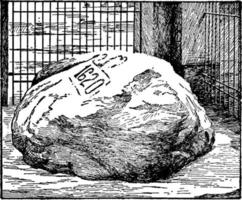 plymouth rock, ilustração vintage vetor