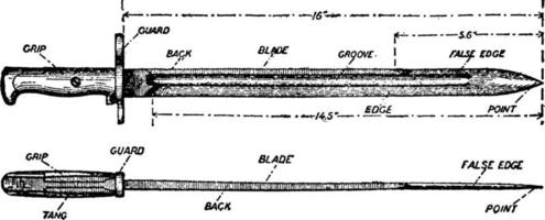 baioneta, ilustração vintage vetor