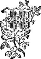 decorativo floral w, ilustração vintage. vetor