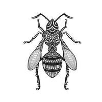 doodle de besouro de libélula desenhado à mão vetor