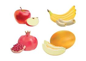conjunto de frutas realistas vetor