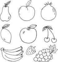 conjunto de objetos de ilustração vetorial desenhados à mão de frutas vetor