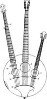 vários instrumentos musicais de cordas, ilustração vintage. vetor