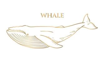 desenho vetorial de uma baleia de ouro em um fundo branco vetor