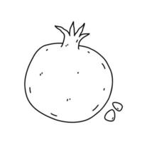 fruta romã isolada no fundo branco. alimentos saudáveis orgânicos. ilustração vetorial desenhada à mão em estilo doodle. perfeito para cartões, logotipo, decorações, receitas, vários designs. vetor