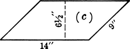 paralelogramo, ilustração vintage. vetor