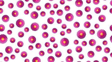 interminável sem costura padrão de violetas lindas flores silvestres com pétalas em um fundo branco. ilustração vetorial vetor