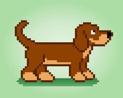 Pixel de 8 bits de cachorro beagle. animal para jogos de ativos em ilustrações vetoriais. padrão de ponto cruz. vetor