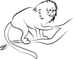 desenho de macaco, ilustração, vetor em fundo branco.