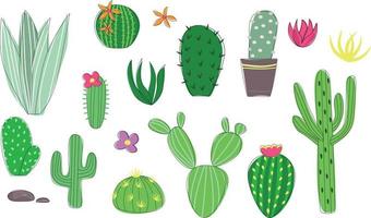 conjunto de cactos mexicanos, suculentas desenhadas à mão, estilo cartoon minimalista, cactos verdes florescendo vetor