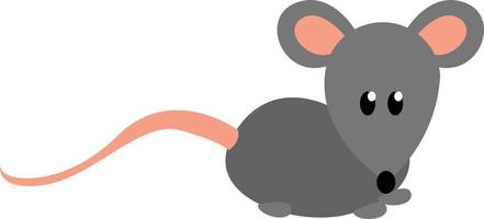 rato cinza, ilustração, vetor em fundo branco.