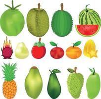 coleção de vetores de frutas frescas e saudáveis