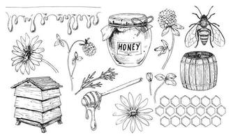 vetor de mel definido em estilo vintage desenhado à mão