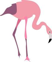 pássaro flamingo, ilustração, vetor em fundo branco.