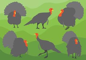 Free Vector Wild Turkey Icons