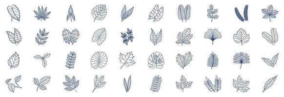 coleção de ícones relacionados a folhas, incluindo ícones como antúrio, arália, aspidistra, castanha, cítrico e muito mais. ilustrações vetoriais, conjunto perfeito de pixels