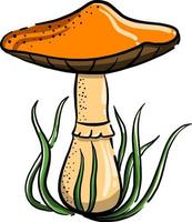 cogumelo da floresta, ilustração, vetor em fundo branco