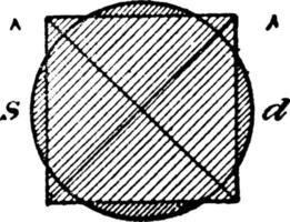 quadrado e círculo quadratura do círculo, ilustração vintage. vetor