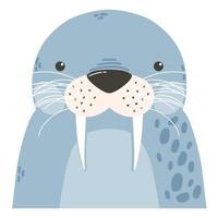 animal foca fofo