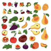 grande conjunto de 10 frutas. 37 elementos. maçã, romã, uva, pêssego, pêra, kiwi, abacate, manga, figo, cereja. vetor mão desenhar ilustração dos desenhos animados.