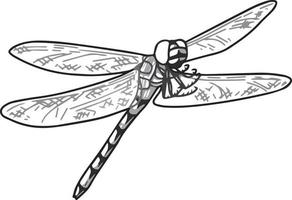 esboço de libélula. desenho vetorial preto e branco. para livros de colorir e para design. vetor