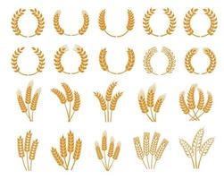 espigas e espigas de trigo de cereais, ícones de coroa de louros vetor