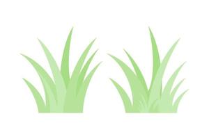 fronteira de grama verde com fundo branco, ilustração vetorial vetor