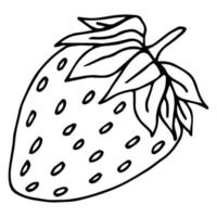 ícone de doodle de contorno desenhado à mão de morango. ilustração de desenho vetorial de baga saudável - morango cru fresco para impressão, web, mobile e infográficos isolados no fundo branco. vetor