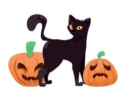 gato de halloween com abóboras vetor