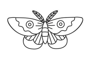 arte de linha de mariposa noturna doodle vetor