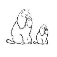 família de marmotas em pé nas patas traseiras. dia da marmota, página para colorir para crianças sobre o mundo dos animais vetor