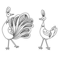 casal de pavões no estilo doodle, pássaros de contorno masculino e feminino, página para colorir com personagens fofinhos vetor