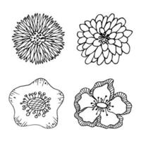 clipart de flores simples. conjunto de doodle floral mão desenhada. para impressão, web, design, decoração, logotipo vetor