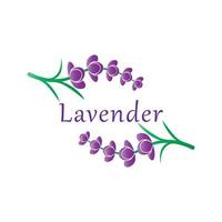 vetor de logotipo de flor de lavanda fresca