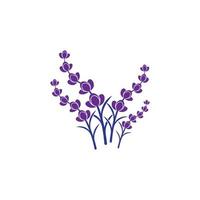 vetor de logotipo de flor de lavanda fresca