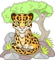 leopardo bonito dos desenhos animados vetor